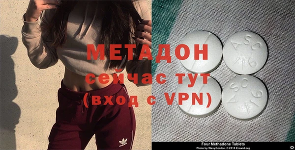 прущие грибы Балабаново