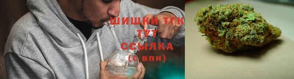 прущие грибы Балабаново