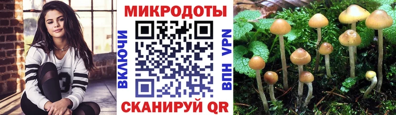 Купить где  Павловская  Галлюциногенные грибы прущие грибы 